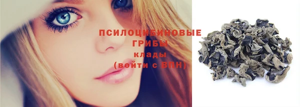 spice Армянск