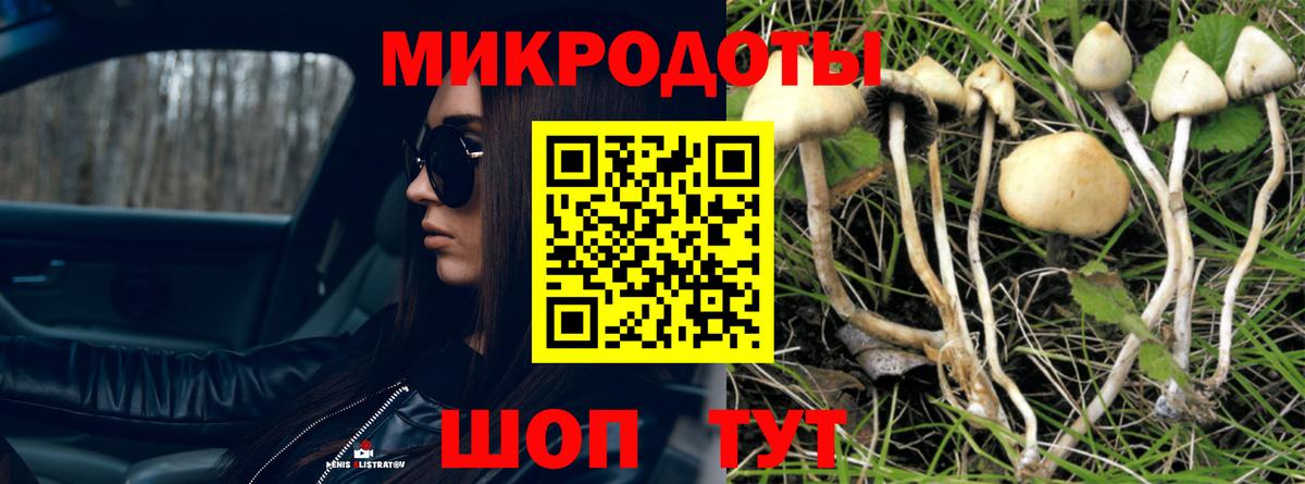 Псилоцибиновые грибы Magic Shrooms Глазов
