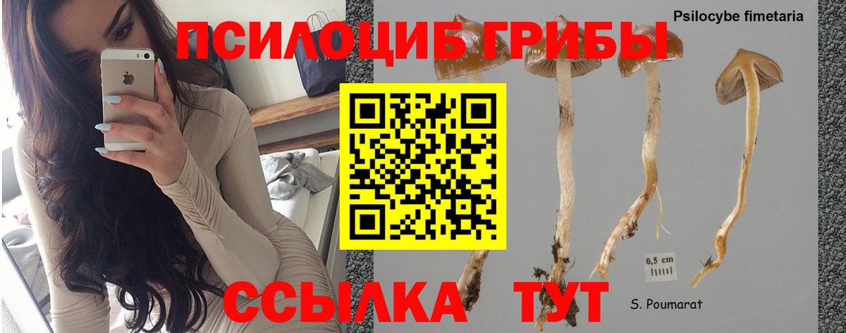 Псилоцибиновые грибы ЛСД  Псилоцибиновые грибы прущие грибы  Глазов 