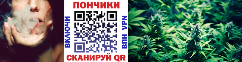 Бошки Шишки OG Kush  где можно купить   Глазов 